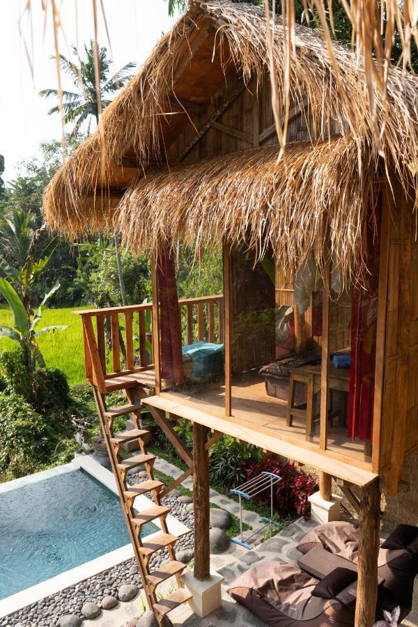 Bali Bamboo Jungle Huts And Hostel Tampaksiring Kültér fotó