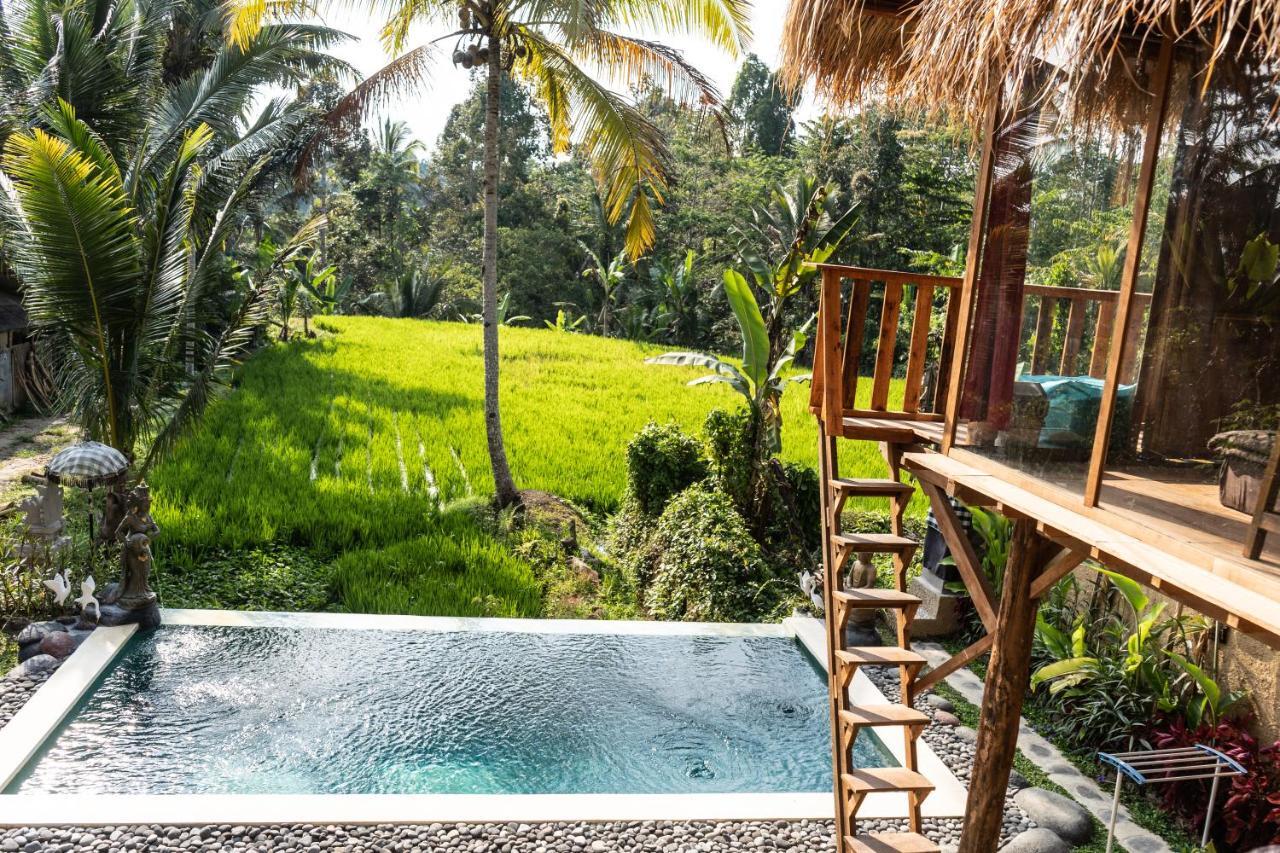 Bali Bamboo Jungle Huts And Hostel Tampaksiring Kültér fotó