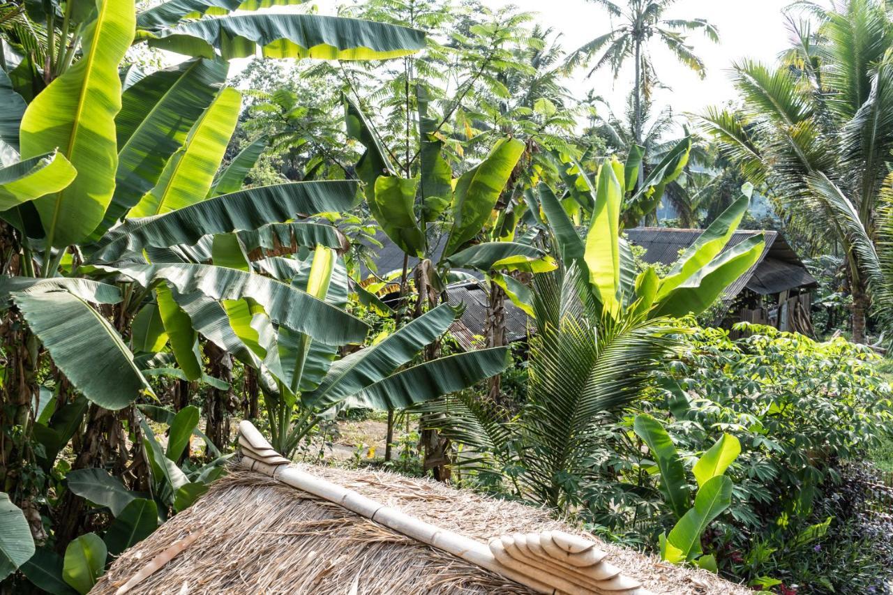 Bali Bamboo Jungle Huts And Hostel Tampaksiring Kültér fotó