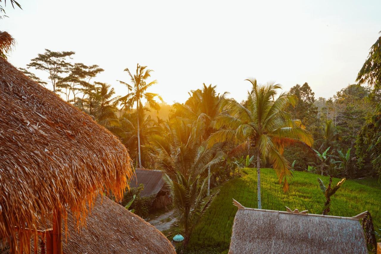 Bali Bamboo Jungle Huts And Hostel Tampaksiring Kültér fotó