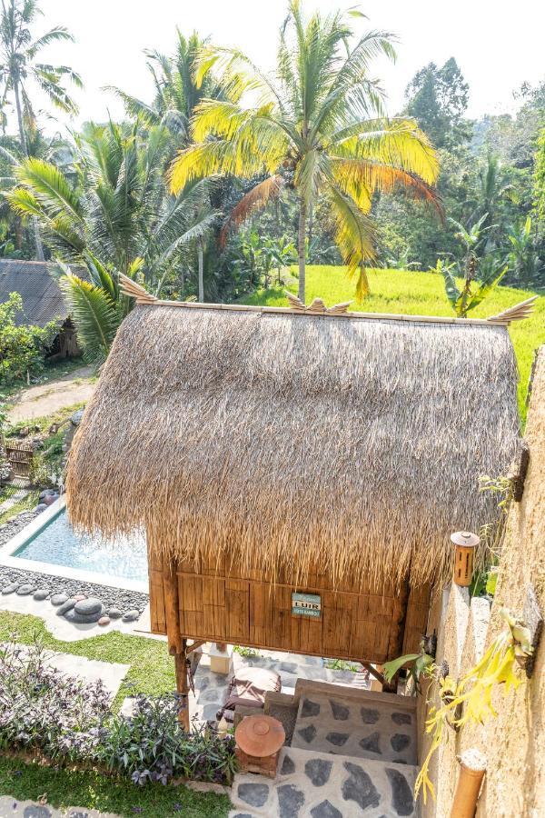Bali Bamboo Jungle Huts And Hostel Tampaksiring Kültér fotó